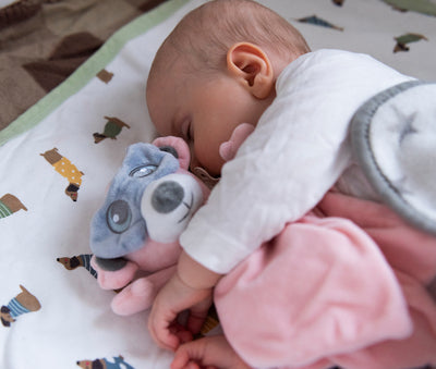 Cuddly toy blanket, Billie the Bear, Pink